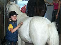 Mädchen striegelt Pony